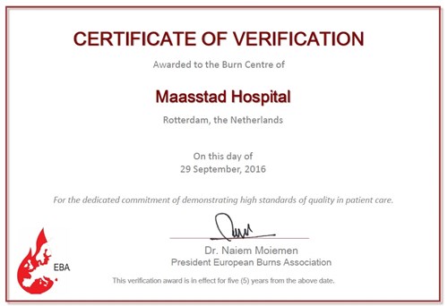 Certificate of Verification.jpg